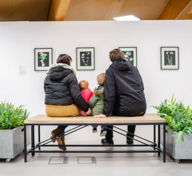 Family sat on a bench with their backs to the camera looking at artwork on the wall